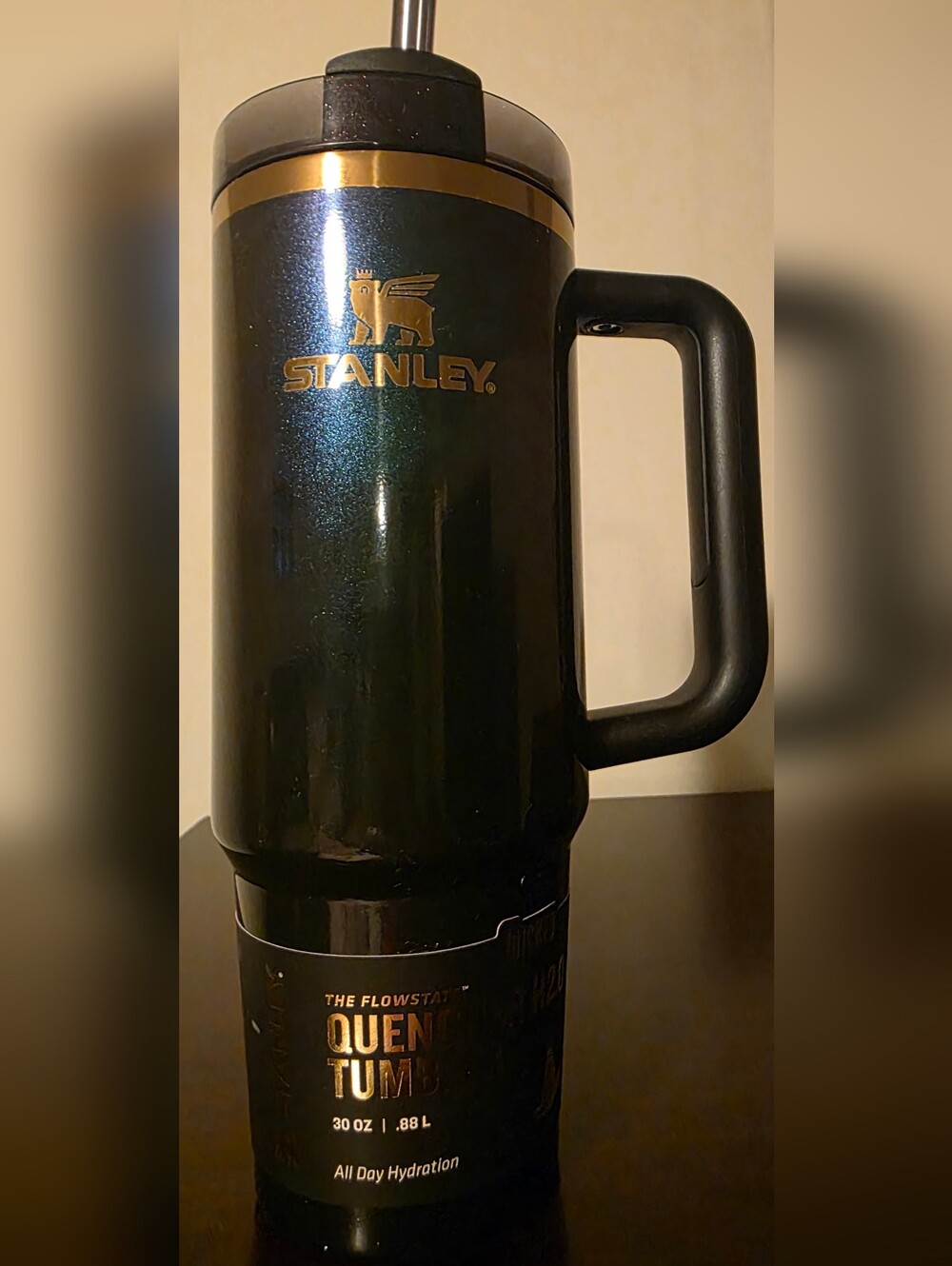 Stanlwy Tumbler- Elphaba For Good